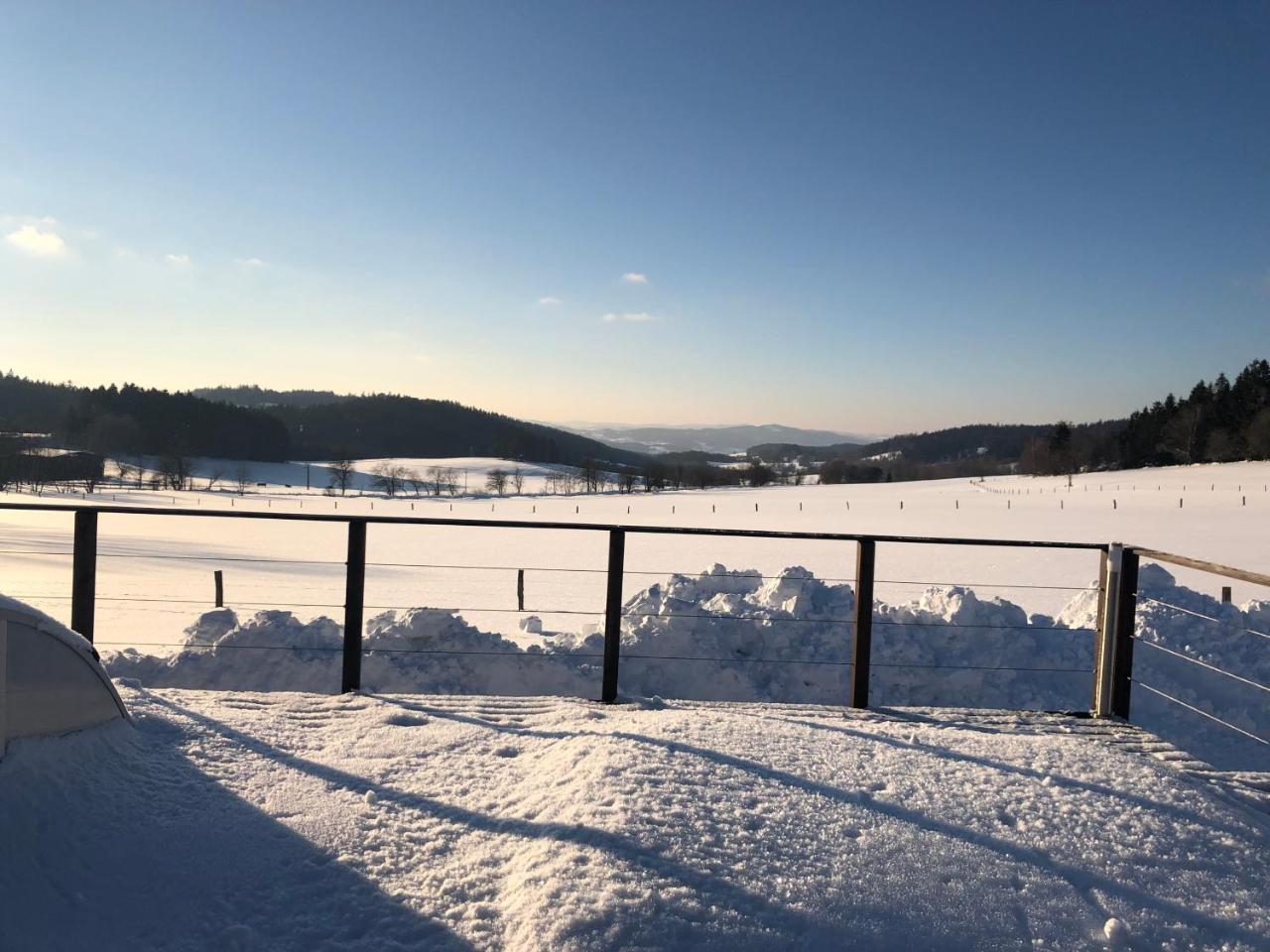 Vila Pasecna - Lipno Predni Vyton Exterior photo